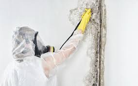 Best Biohazard Mold Removal  in River Oaks, TX